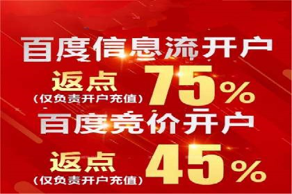 行业案例研究：SEM竞价托管的策略与挑战